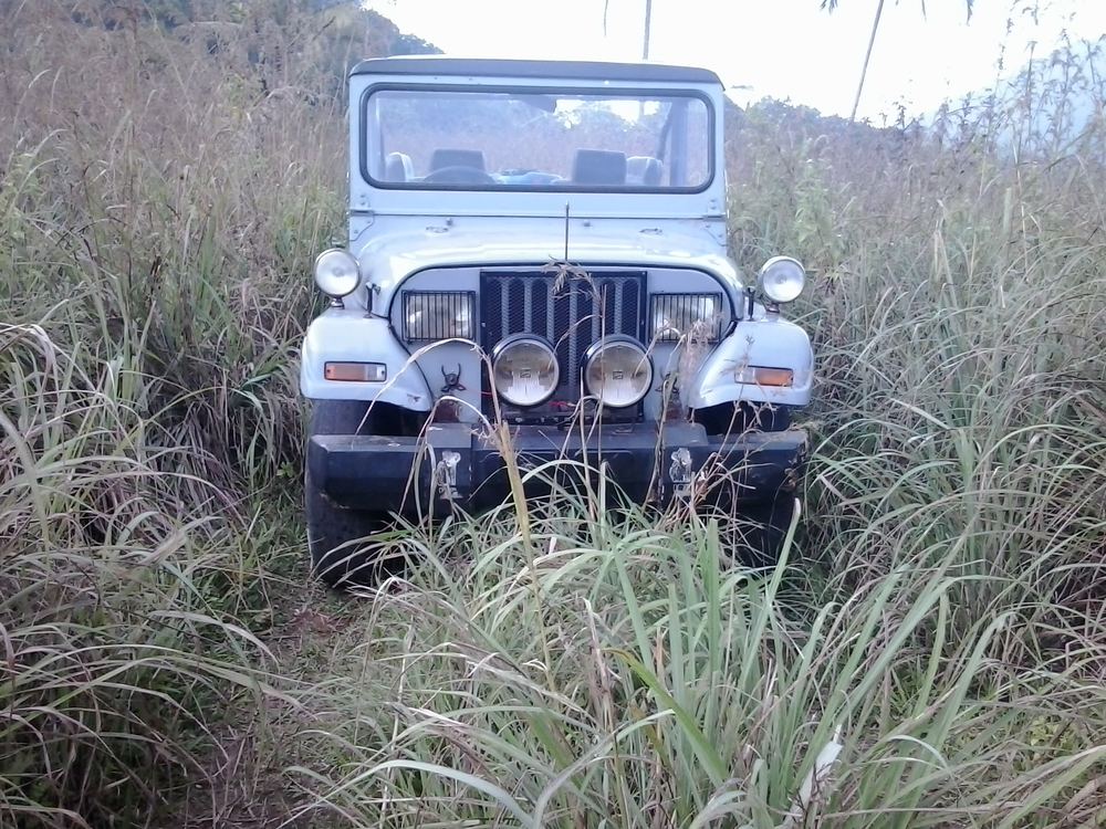 Poonchira scenery 6